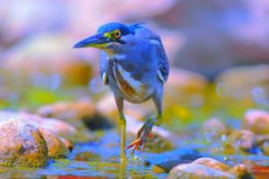 西甲联赛球队特点分析西甲联赛球队特点分析