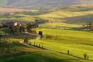 西甲联赛出场镜头分析,一场场精彩背后的战术与人性西甲联赛出场镜头分析图